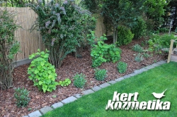 Felfrissített növényállomány (26)